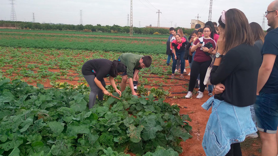 EFA La Malvesía conciencia a la población de la escasez de cultivos agrarios con su proyecto innovador